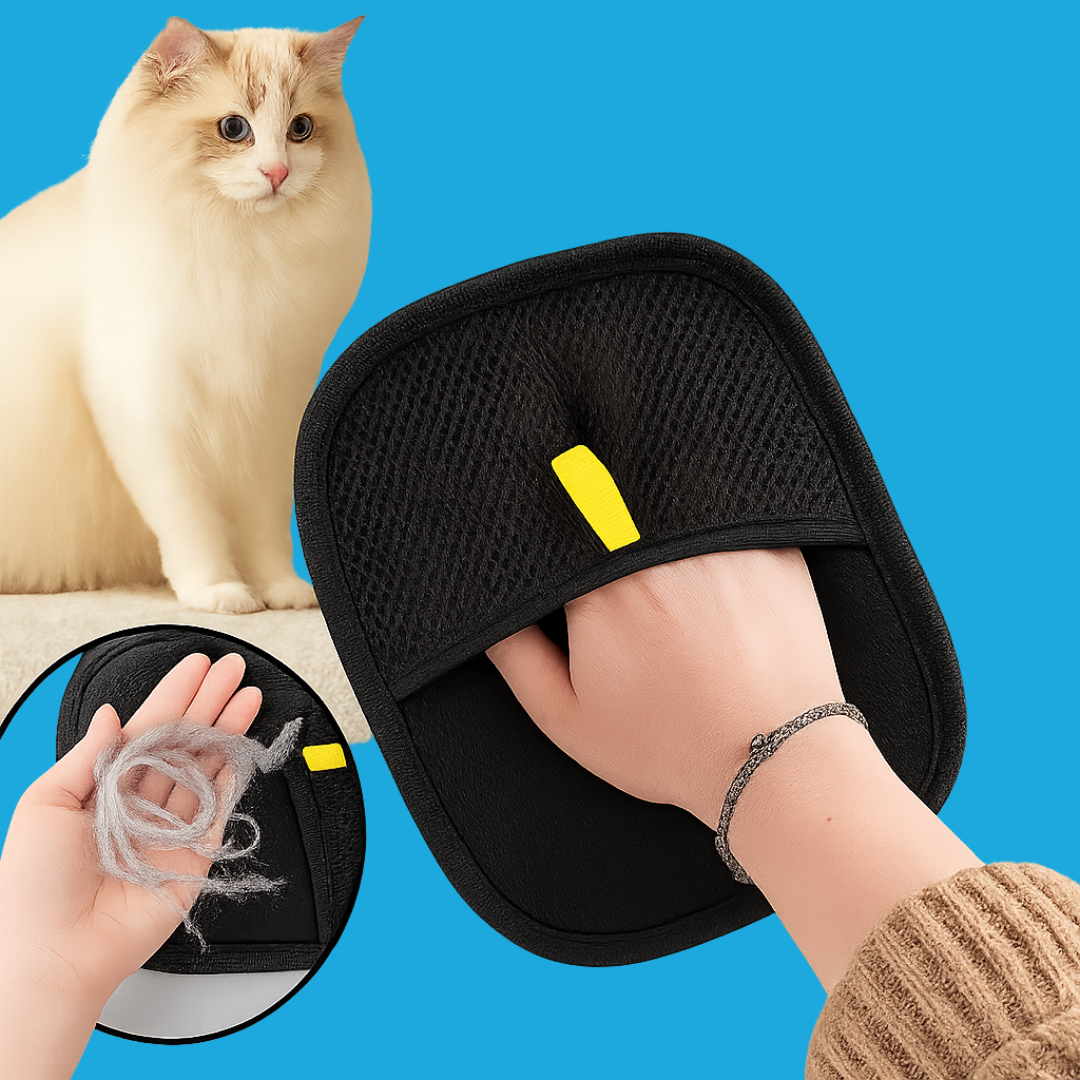GlidePaw