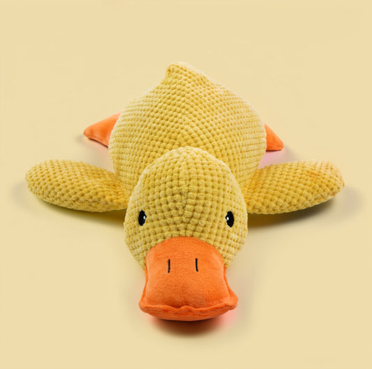 CalmiQuack